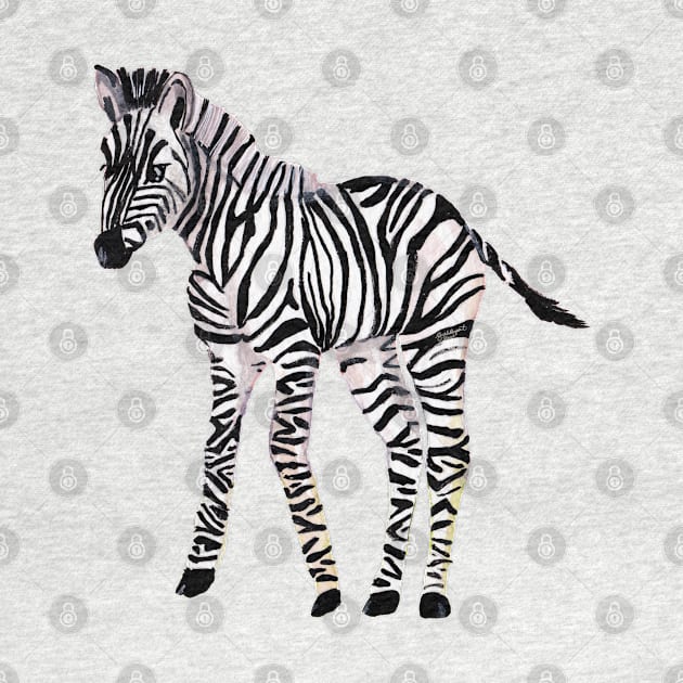 Baby Zebra by Peleegirl